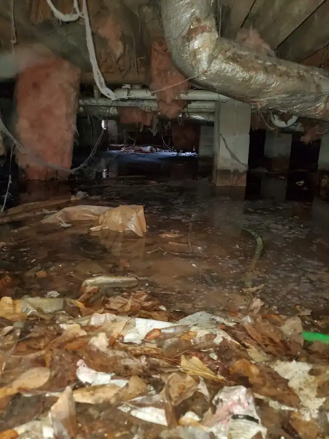 Crawl space flood assessment for Leak Detection & Repair in Leavenworth